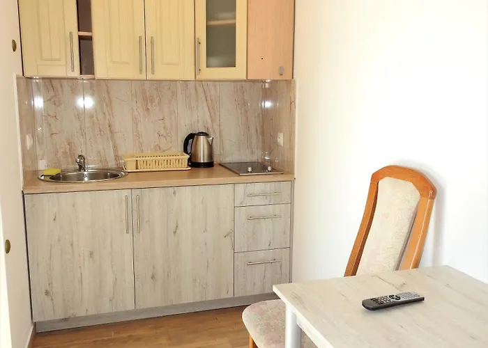 Alojamento de Turismo Selvagem Elizabeth - Letniskowe & Studia